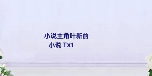 小说主角叶新的小说 Txt